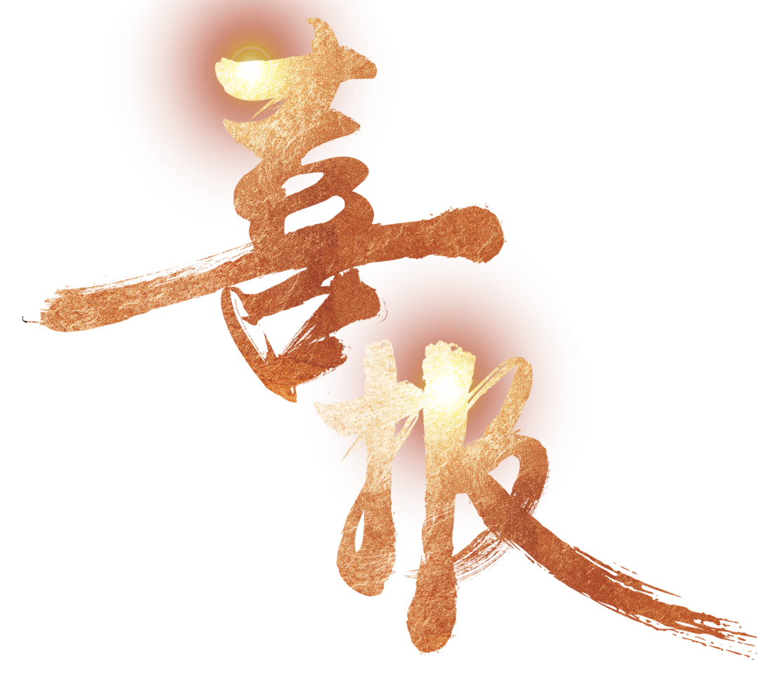 【中標喜訊】鑫飛鵬喜中標 全力以赴創(chuàng)新高！